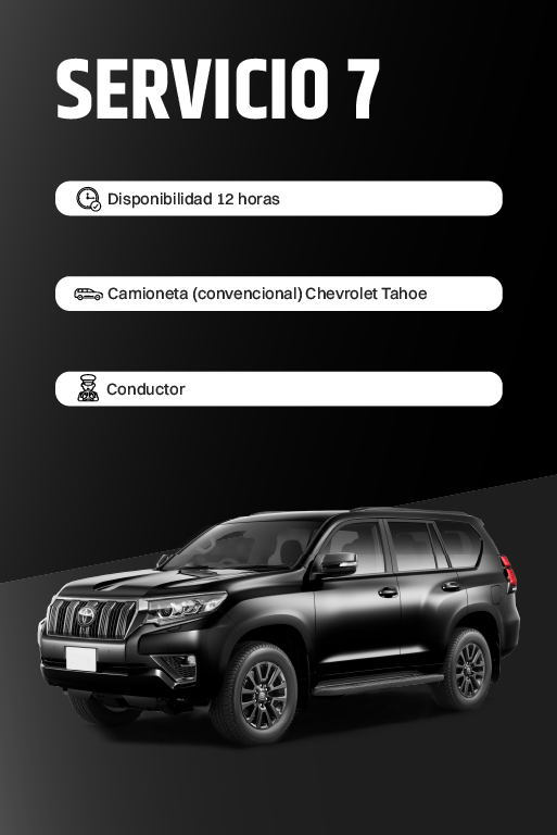 Servicio 7